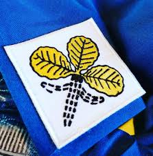 Soisalon Samoilijat ry sääntömääräinen syyskokous 16.11.2025